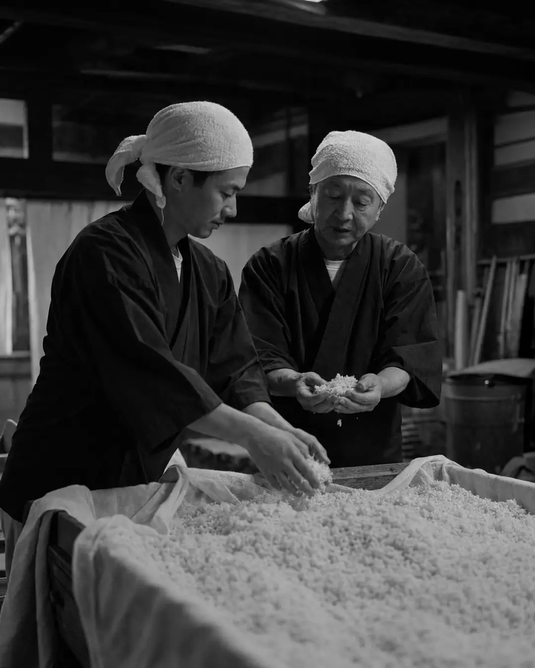 Two brewers checking rice by hand