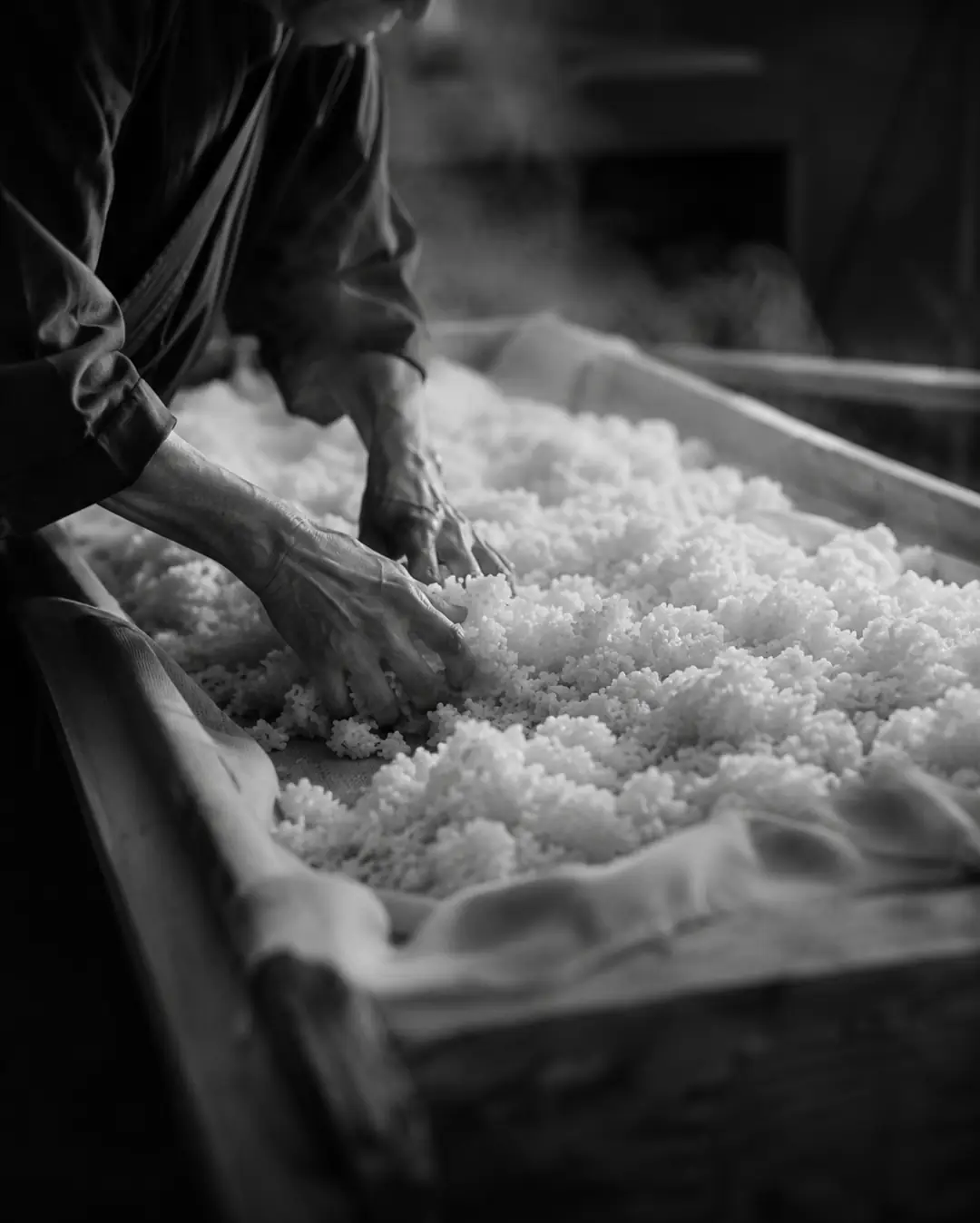 Hands spreading steamed rice on cloth to cool